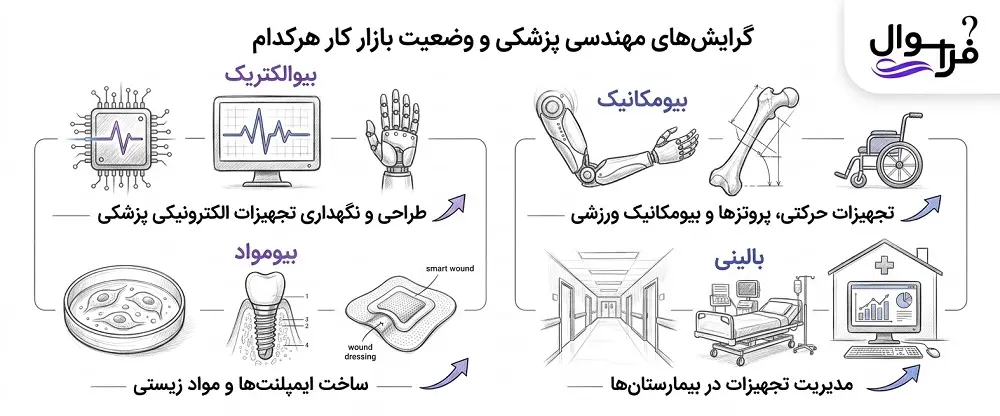 گرایش های رشته مهندسی پزشکی